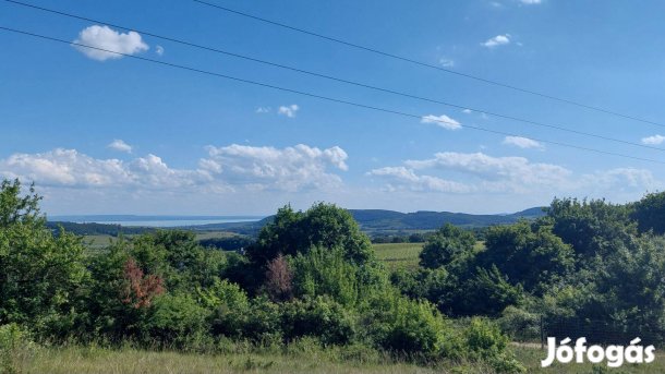 Eladó 3,5 ha óbudavári mezőgazdasági terület