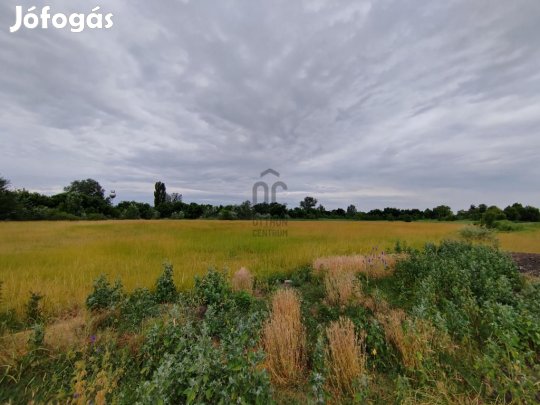 Eladó 43000 nm-es telek Cegléd