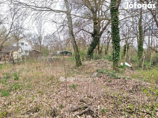 Eladó 444 nm-es telek Ráckeve