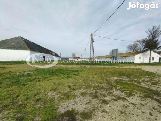 Eladó 4570 nm-es Telephely Veszprém