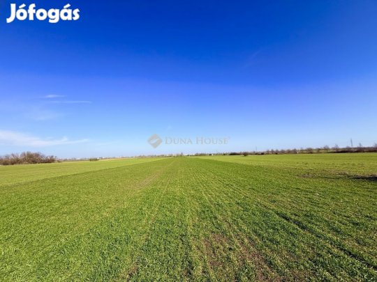 Eladó 4582 nm-es telek Taksony