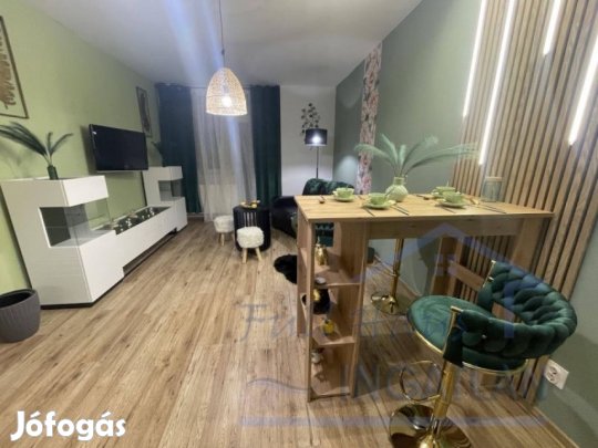 Eladó 45 nm-es Felújított tégla lakás Tatabánya Újváros  Ifjúság