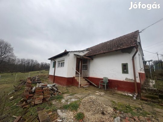 Eladó 45 nm-es ház Zalaegerszeg