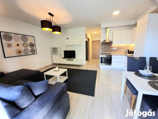 Eladó 46 nm-es Újszerű állapotú tégla lakás Budapest VIII. kerület