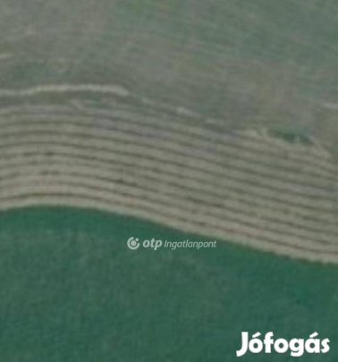 Eladó 49232 nm-es mezőgazdasági ingatlan #4920400