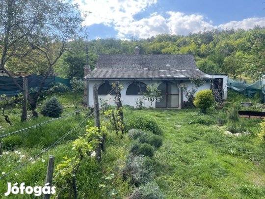 Eladó 50 nm-es ház Iszkaszentgyörgy