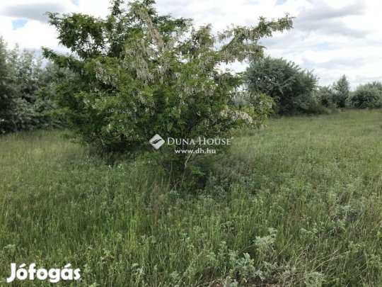 Eladó 5173 nm-es telek Székesfehérvár