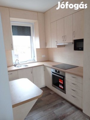 Eladó 53 nm-es Újszerű állapotú tégla lakás Kecskemét