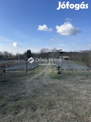 Eladó 5635 nm-es telek Nyírtura