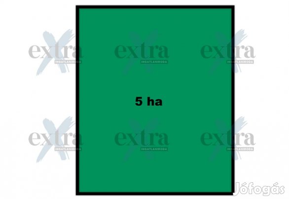 Eladó 5 hektár akácos Rúzsa külterületén