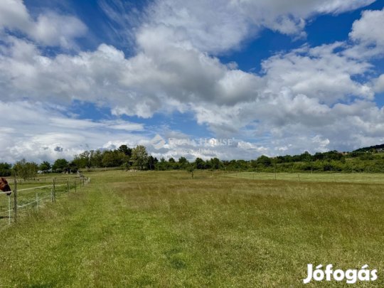 Eladó 61686 nm-es telek Dörgicse