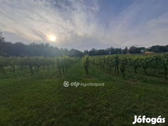 Eladó 6590 nm-es telek Káptalantóti