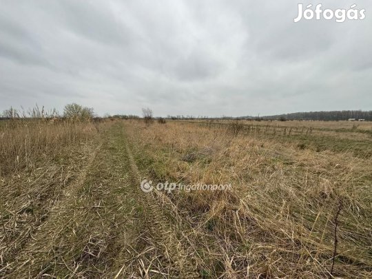 Eladó 667 nm-es telek Kisköre