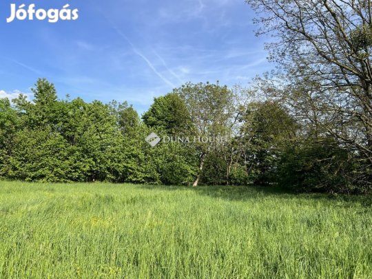 Eladó 6696 nm-es fejlesztési terület Dudar