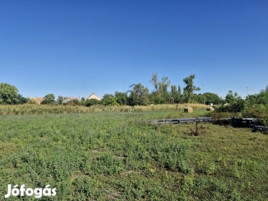 Eladó 6894 nm-es telek Abony