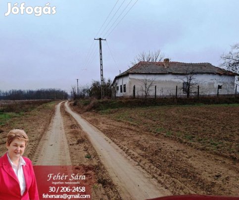 Eladó 70 nm-es Tanya Tiszakürt