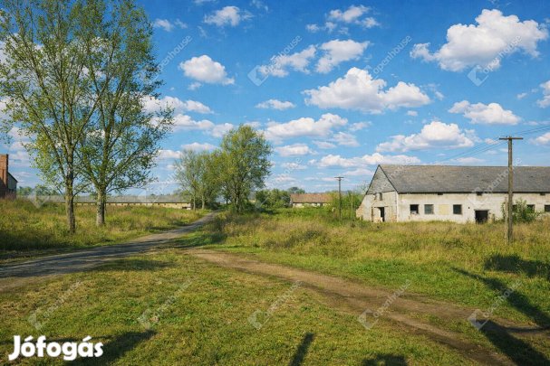 Eladó 71039 nm-es mezőgazdasági ingatlan Bodajk