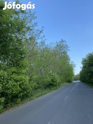 Eladó 71500 nm-es telek Újhartyán