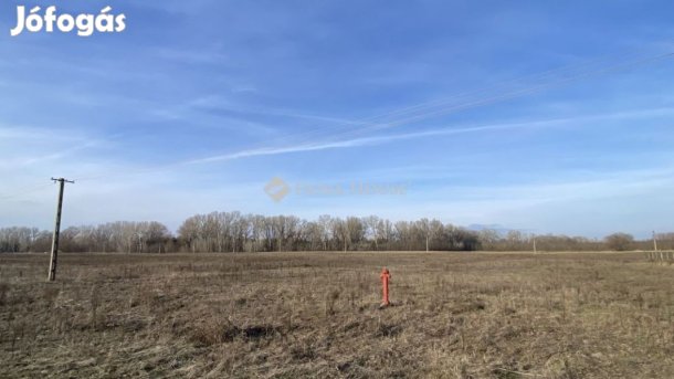 Eladó 73815 nm-es telek Tápiószentmárton