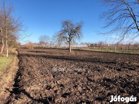 Eladó 7425 nm-es telek Orosháza