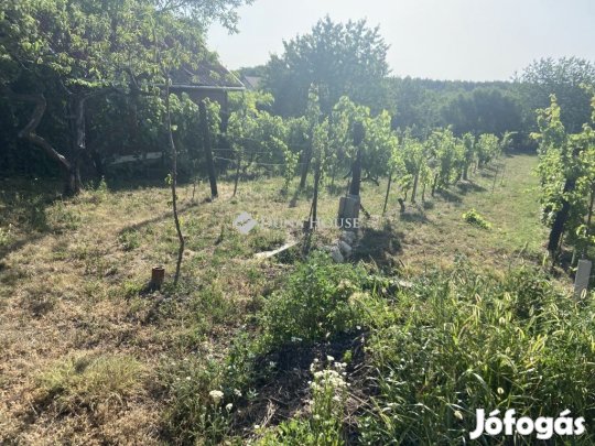 Eladó 750 nm-es telek Tárnok