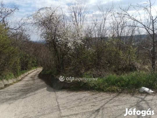 Eladó 858 nm-es telek Szekszárd