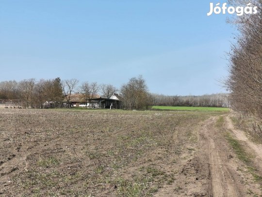 Eladó 8 hektár területen lévő tanya Pest Vármegye