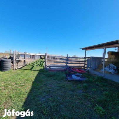 Eladó 90 nm-es Tanya Mezőtúr