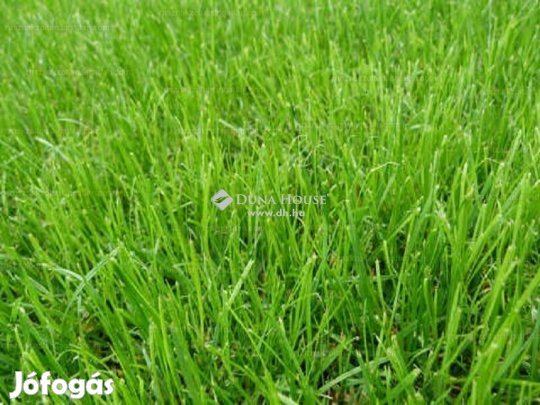 Eladó 9492 nm-es telek Örkény