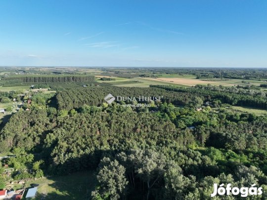 Eladó 9550 nm-es telek Kecskemét