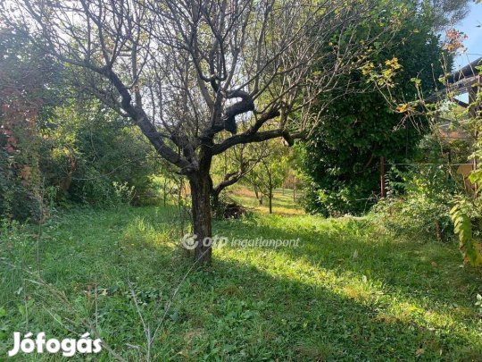 Eladó 971 nm-es telek Zalaegerszeg