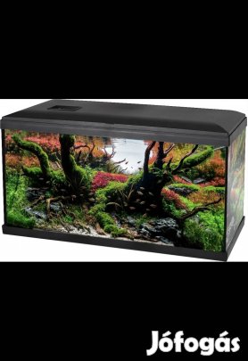 Eladó Akvarium 