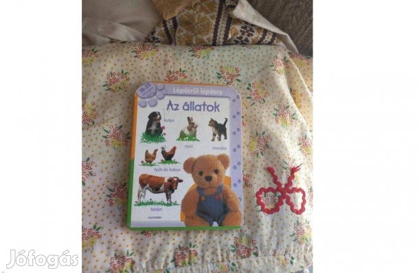 Eladó Az állatok kis gyerek könyv