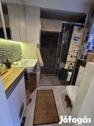 Eladó Bp. III. zöldövezeti lakás