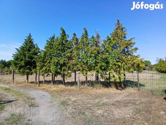 Eladó Cegléd (Öregszőlő ) 4181 m2 Zártkerti telek.