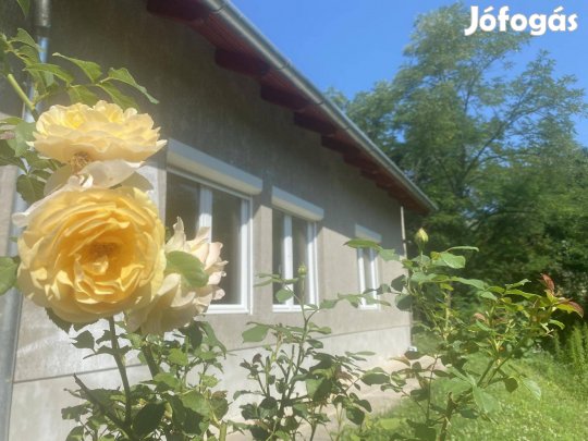 Eladó Családi ház Vác Naszály Hegy lábánál