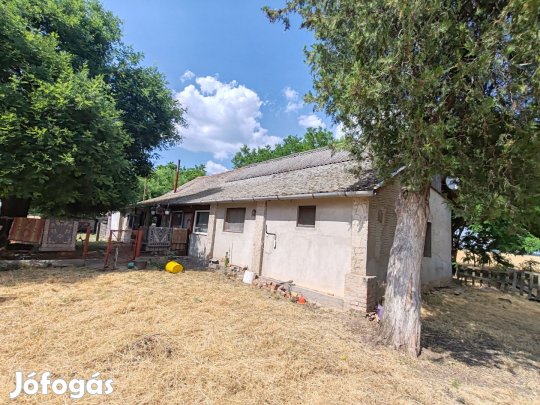 Eladó Csongrád Tanya  2.877 m2 Telek és 92,7 m2 Főépület!