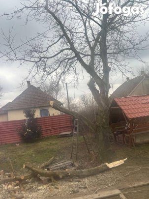 Eladó Dió fa