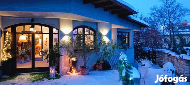 Eladó Diósd Egyedi átriumos ház-projekt,2 szint,912nm telken