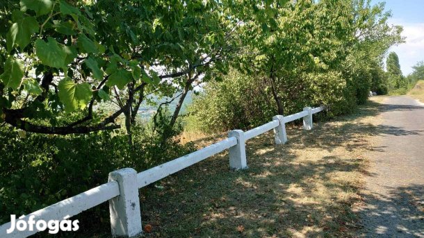 Eladó Dióskáli Külterületi ingatlan, legelő, erdő