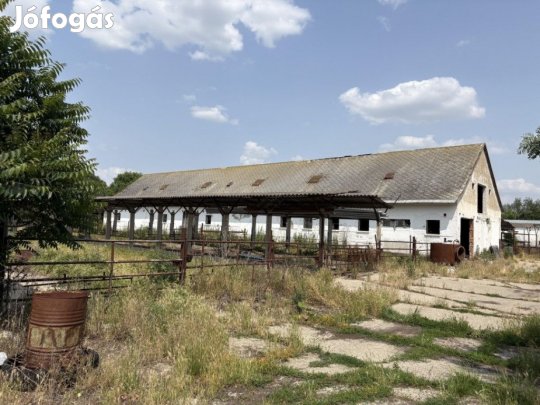 Eladó Egyéb mezőgazdasági ingatlan - Hódmezővásárhely