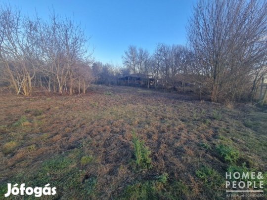 Eladó Építési telek Hódmezővásárhely