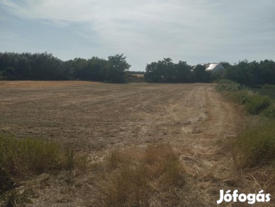 Eladó Építési telek Makó