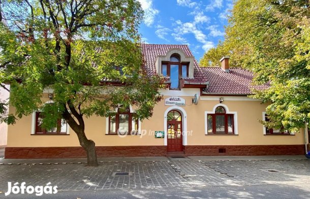 Eladó Étterem, Jánoshalma