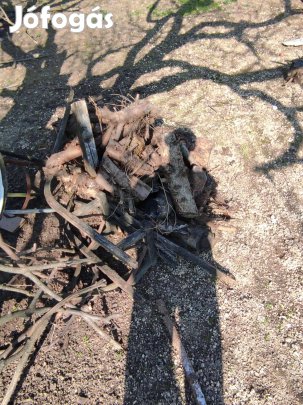 Eladó Fenyő Tüzelő meg Rőnk