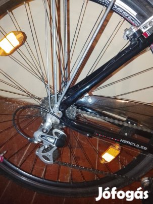 Eladó Férfi kerekpár