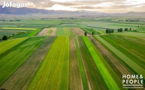 Eladó Föld, kert, tanya / Egyéb Üllés