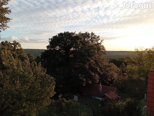 Eladó Ház Piliscsaba legszebb részén befektetőknek is!!!