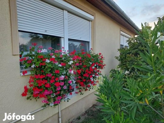 Eladó Ház Vásárosnamény-Vitka