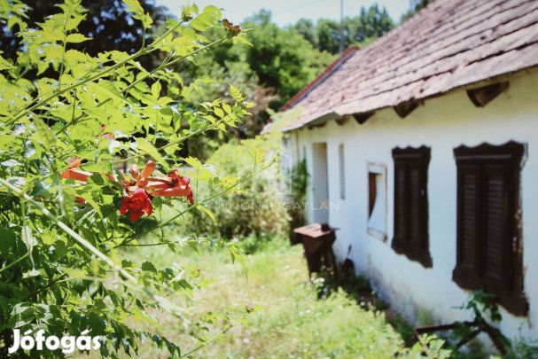 Eladó Ház, Pula 22.500.000 Ft